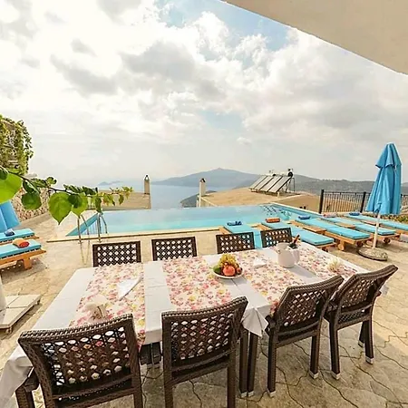Biba 2 Kalkan